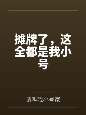 摊牌了，这全都是我小号