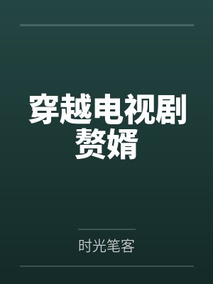 穿越电视剧赘婿