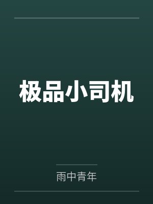 极品小司机 极品小司机