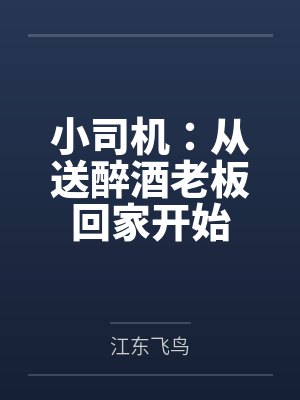 小司机:从送醉酒老板回家开始 小司机:从送醉酒老板回家开始